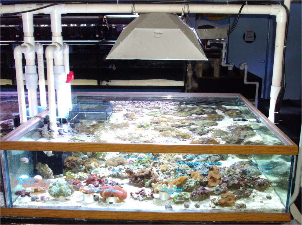 Hamilton Technology Aquarium Supplies | 14900 S Figueroa St, Gardena, CA 90248, USA | Phone: (800) 447-9797