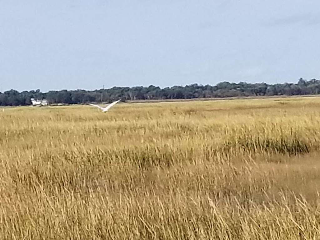 Pork Island Wildlife Management Area | Longport, NJ 08403, USA