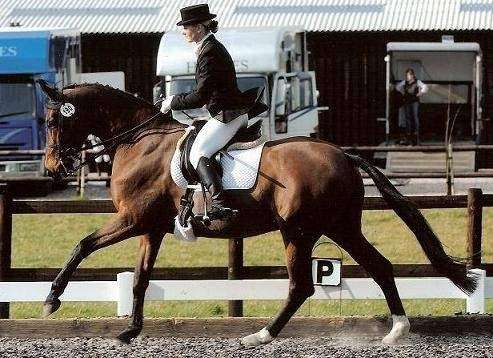 Sarah Williams Dressage | Yonder Farm, Orange Court Lane, Downe BR6 7JD, UK | Phone: 07956 369390