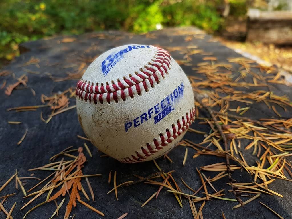 Big Finn Hill Baseball Fields | 8251 NE 138th St, Kirkland, WA 98034, USA | Phone: (206) 477-4527