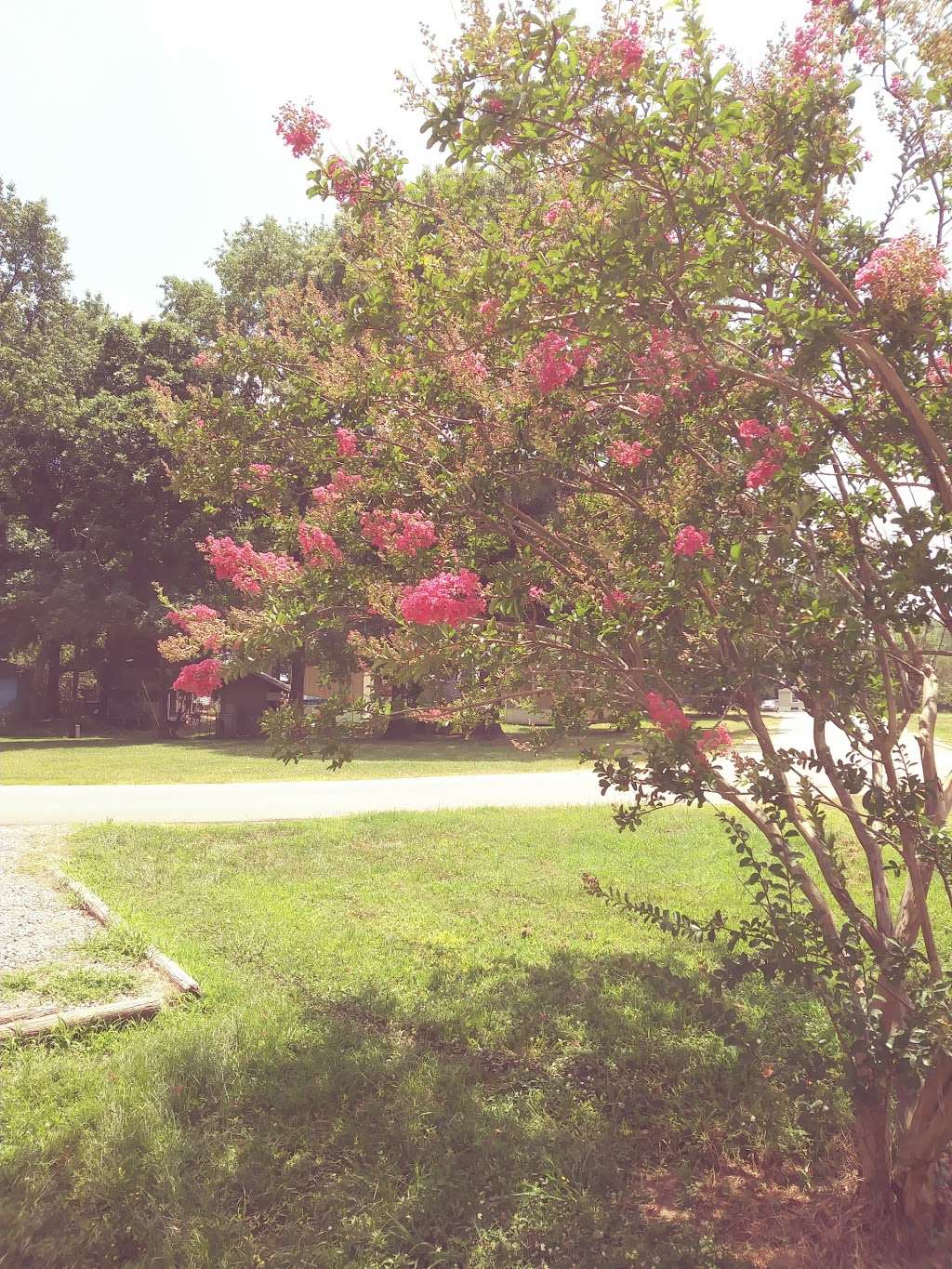 Forest Park Mobile Homes | Charlotte, NC 28269, USA