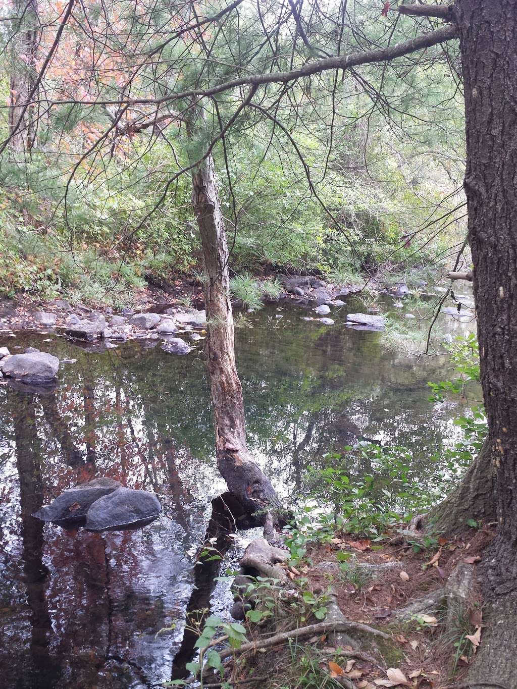 Stillwater Scenic Trail Parking | Stillwater Scenic Trail, Smithfield, RI 02917, USA