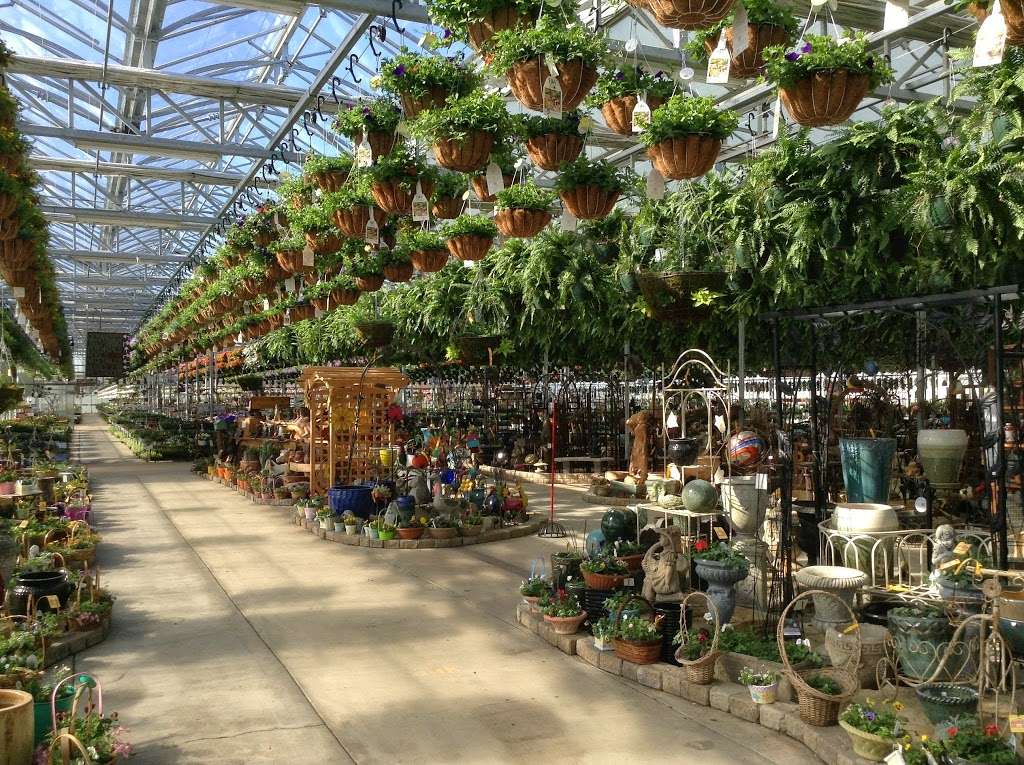 Woldhuis Farms Sunrise Greenhouse, Inc | 10300 9000 N, Grant Park, IL 60940, USA | Phone: (815) 465-6310