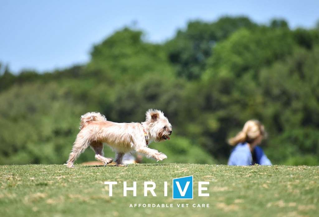 THRIVE Affordable Vet Care | 10245 North Fwy Suite 150, Houston, TX 77037, USA | Phone: (832) 648-2875