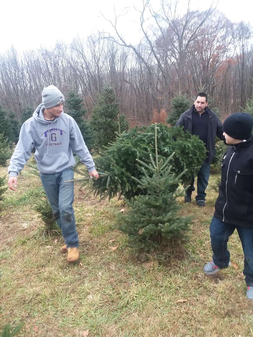 Sunset Christmas Tree Farm | 21 Frontage Rd, Blairstown, NJ 07825, USA | Phone: (908) 459-4048