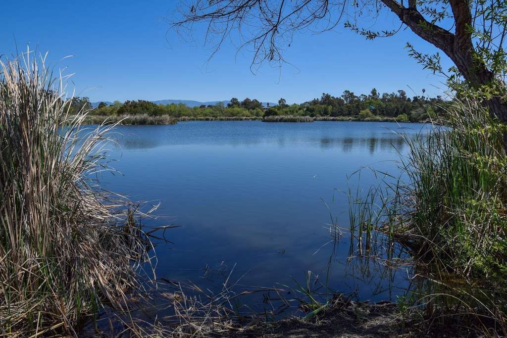 Guajome Regional Park | 3000 Guajome Lake Rd, Oceanside, CA 92057, USA | Phone: (760) 724-4489