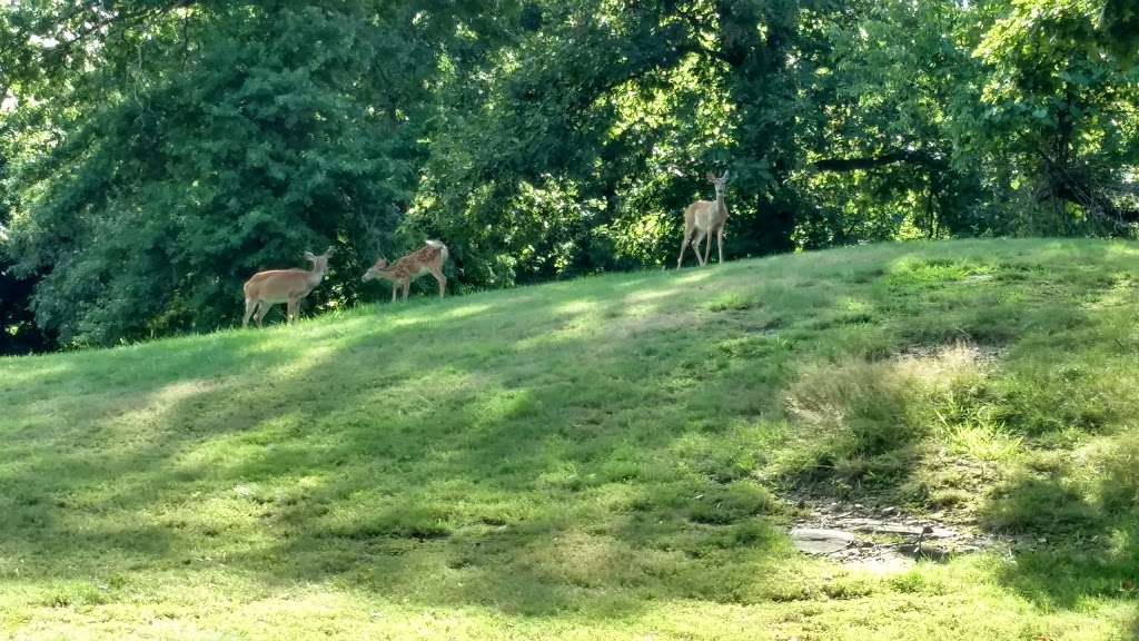 Hook Mountain State Park | N Rte 9W, Nyack, NY 10960, USA | Phone: (845) 268-3020