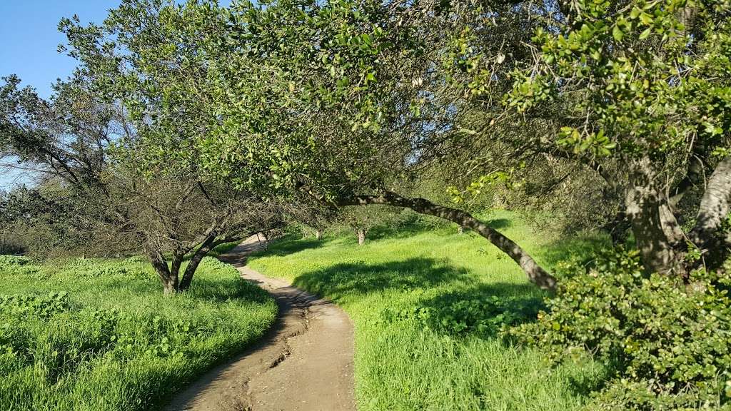 Panorama Nature Preserve | 1903 St Simons Pl, Fullerton, CA 92831, USA