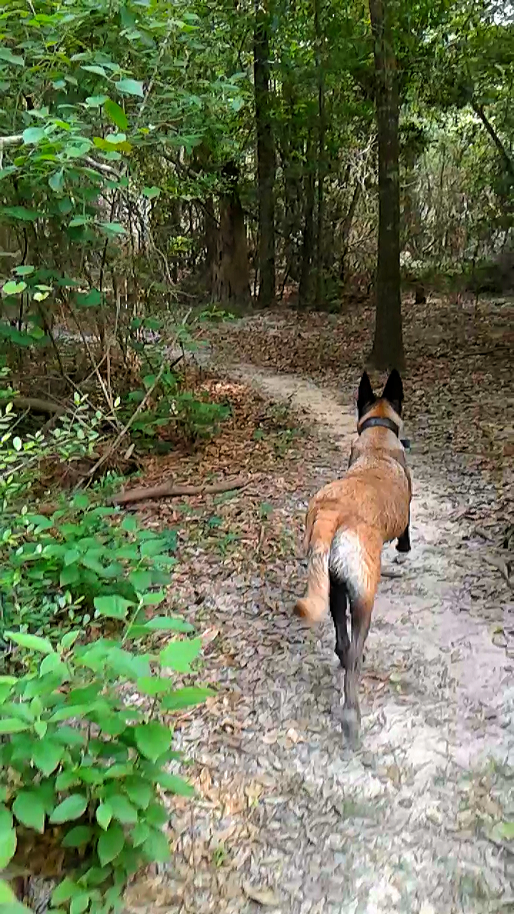 Timber Lane Hike & Bike Trail | 22700 Lemon Grove Dr, Spring, TX 77373, USA | Phone: (281) 353-8100