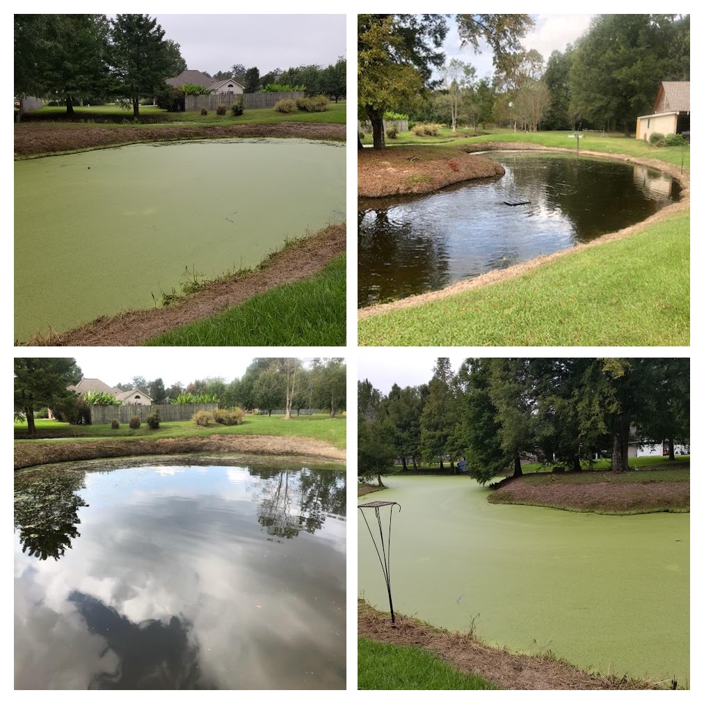 Louisiana Pond Management | 7517 Town S Ave, Baton Rouge, LA 70808, USA | Phone: (225) 308-4145