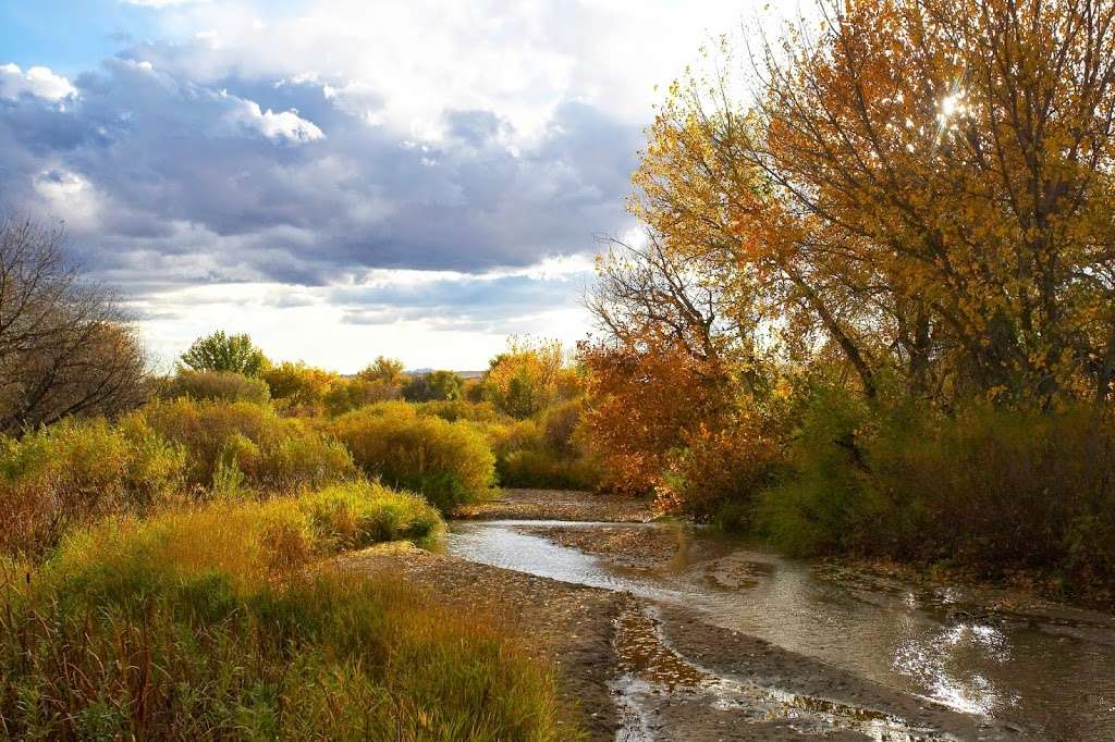 McCabe Meadows | 19700 Indianpipe Ln, Parker, CO 80134, USA | Phone: (303) 805-6311