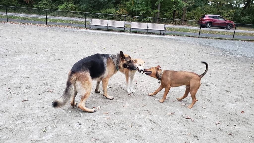 Essex County Branch Brook Dog Park | Branch Brook Park Dr, Newark, NJ 07107, USA | Phone: (973) 268-3500