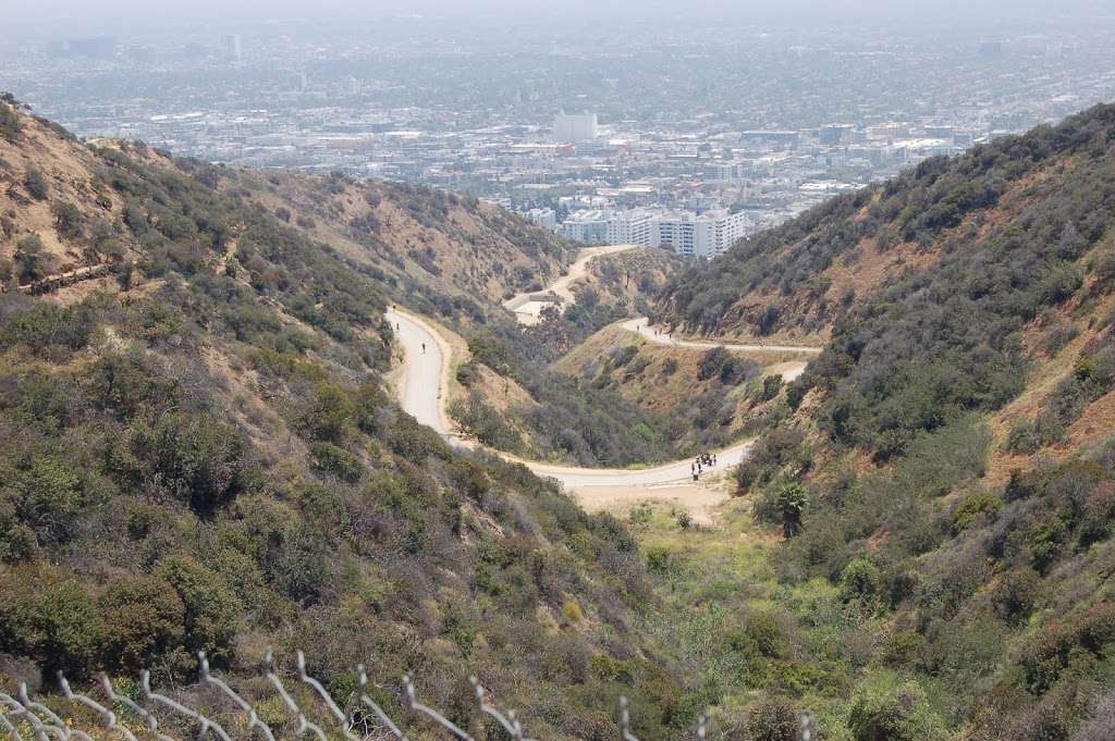 Runyon Canyon Park | 2000 N Fuller Ave, Los Angeles, CA 90046, USA | Phone: (818) 243-1145