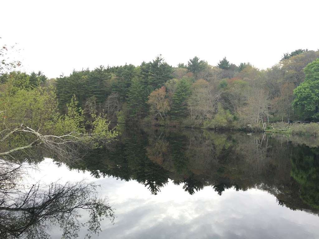 Sampson Forest & Memorial Park | Kingston, MA 02364, USA