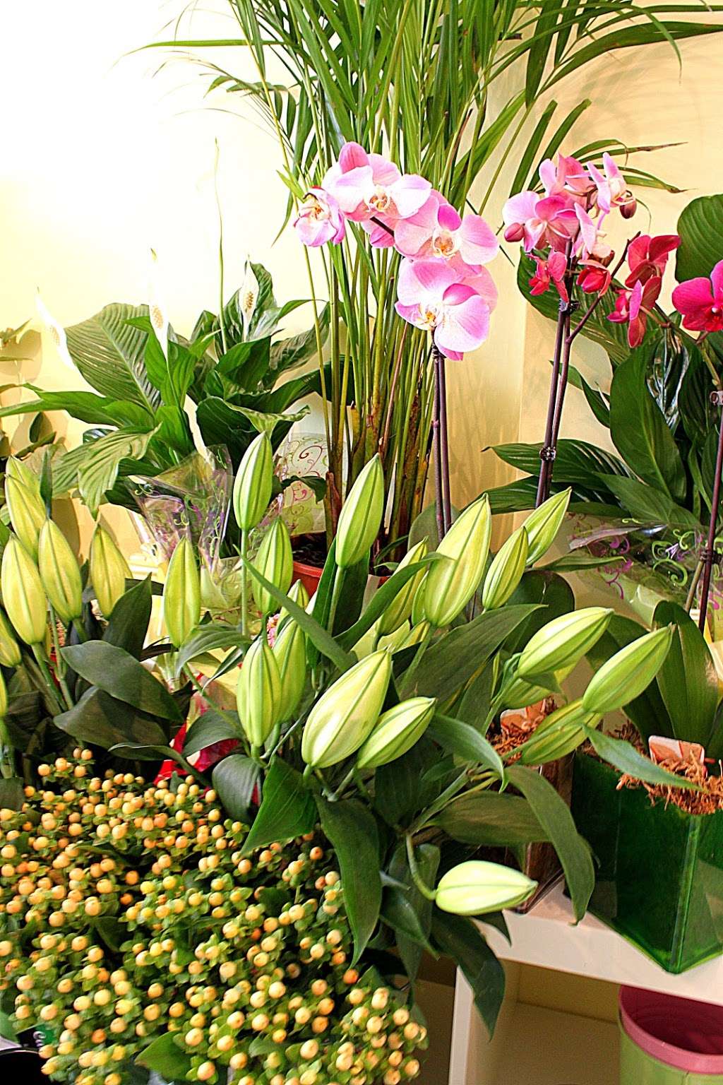 Honor Oak Florist | 64 Honor Oak Park, London SE23 1DY, UK | Phone: 020 8699 1909