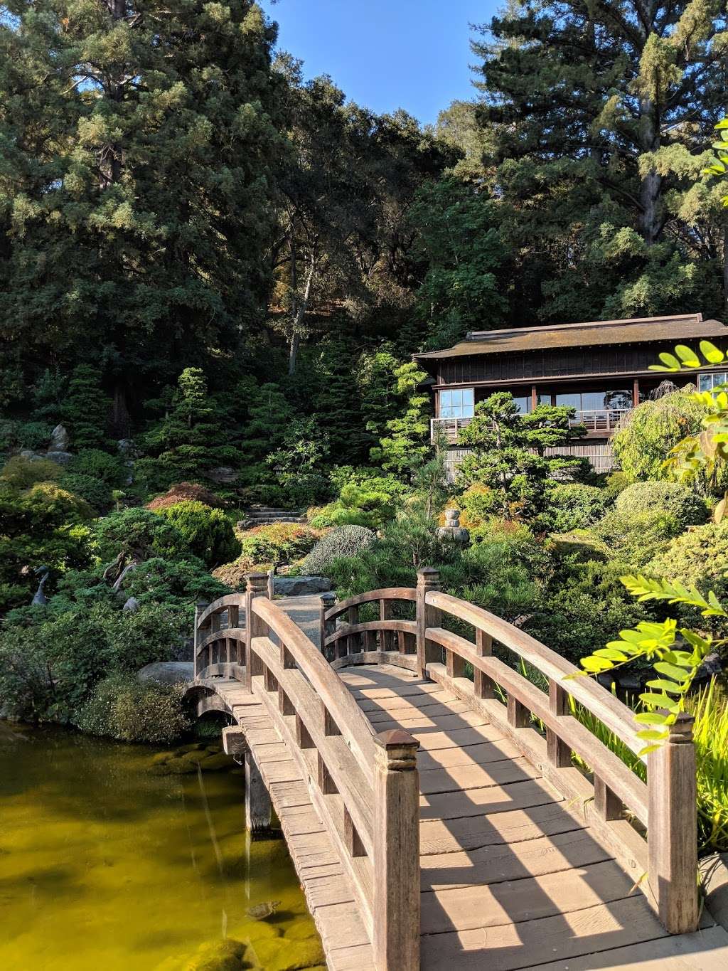 Hakone Estate and Gardens | 21000 Big Basin Way, Saratoga, CA 95070, USA | Phone: (408) 741-4994