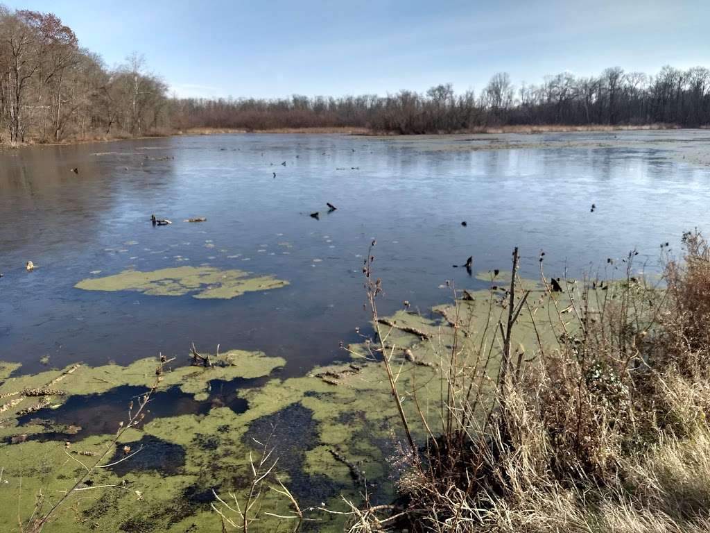 McKee Beshers Wildlife Management Area | 16898-16500 River Rd, Poolesville, MD 20837, USA | Phone: (410) 356-9272