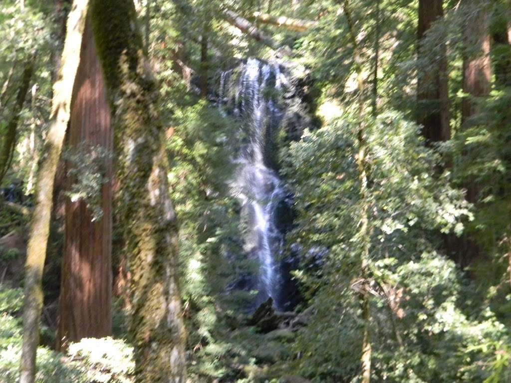 Big Basin Redwoods State Park Headquarters & Visitor Center | 21600 Big Basin Hwy, Boulder Creek, CA 95006, USA | Phone: (831) 338-8861