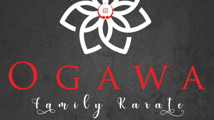 Ogawa Family Karate | 1485 Garrison Rd, Fort Erie, ON L2A 1P8, Canada | Phone: (289) 271-9822