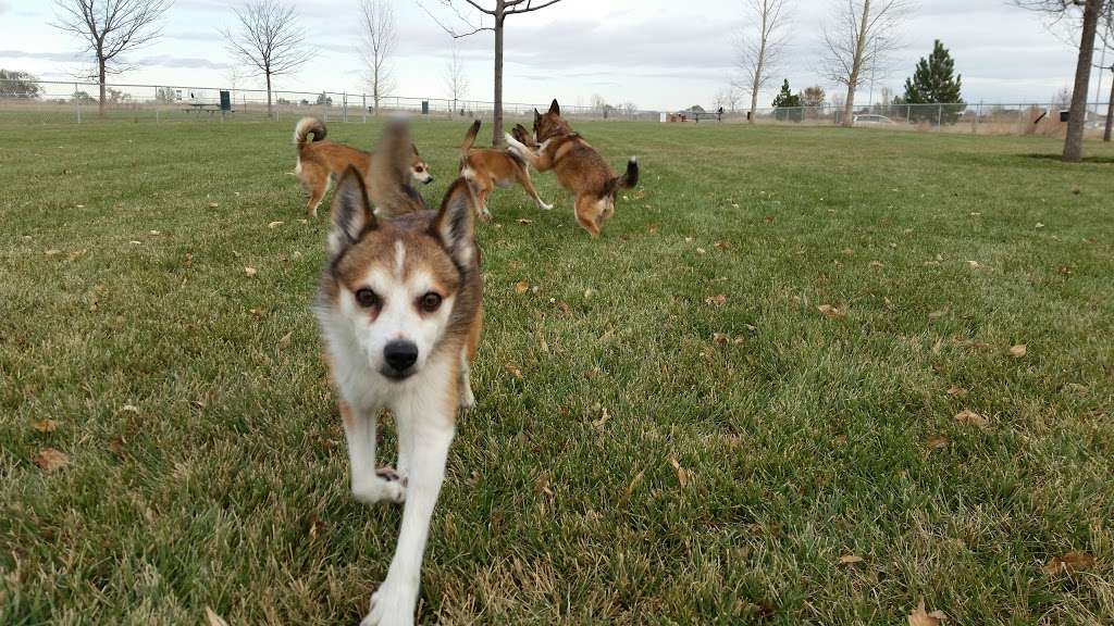 Waggin Tail Dog Park | Balsam Ave, Greeley, CO 80631, USA