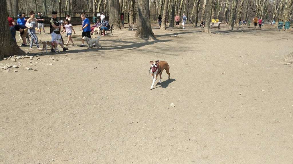 Brookdale Dog Park | W Circuit Dr, Montclair, NJ 07043, USA | Phone: (973) 268-3500