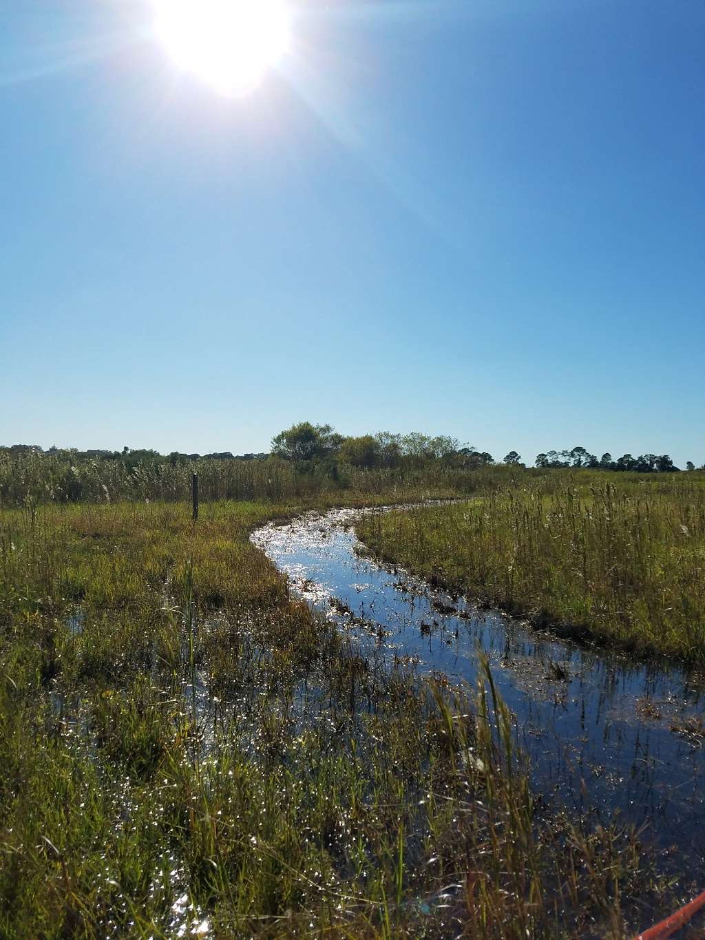 Johns Lake Conservation Area | 880 Avalon Rd, Winter Garden, FL 34787, USA