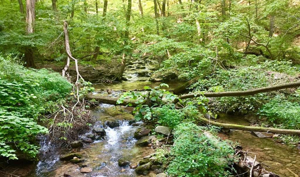 Mt Tammany Red Dot Trail | Kittatinnies Region, Hardwick Township, NJ 07825, USA