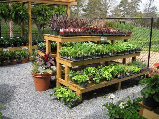 Matthews Greenhouses Inc | 2620 Reeves Island Rd, Richfield, NC 28137, USA | Phone: (704) 279-5464