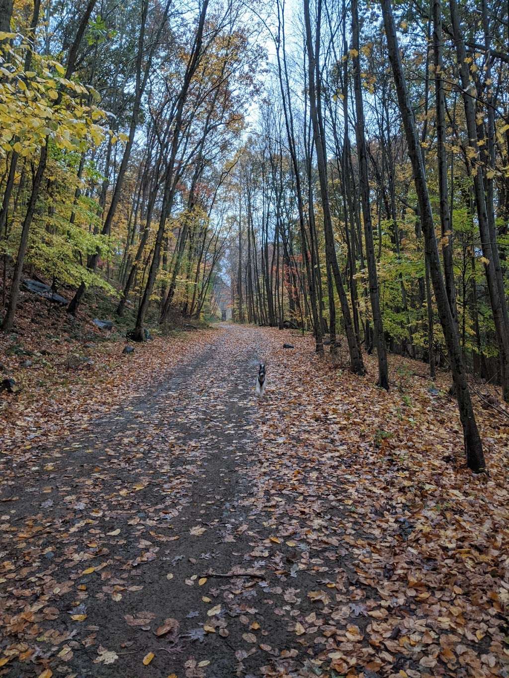 Old Croton Trailway State Park | 15 Walnut St, Dobbs Ferry, NY 10522, USA | Phone: (914) 693-5259