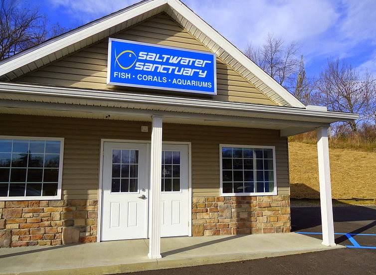 Saltwater Sanctuary | 657 Morganza Rd, Canonsburg, PA 15317, USA | Phone: (412) 223-6065