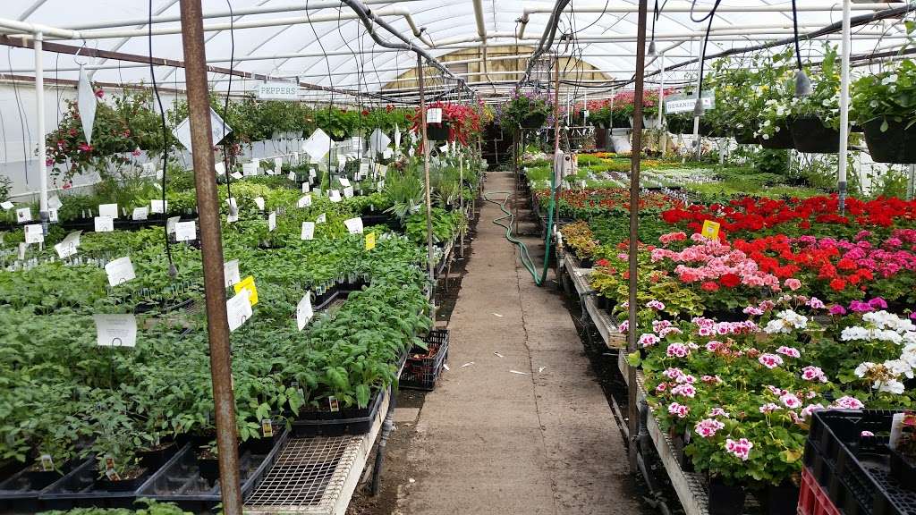 The Flower Farm | 20335 S Moonlight Rd, Gardner, KS 66030, USA | Phone: (913) 856-8517