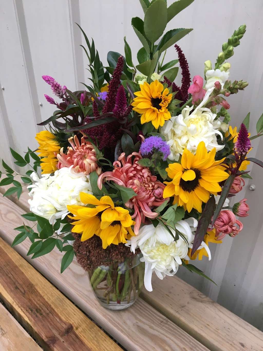 Freckled Flower Farm | 18065 Mountain Rd, Montpelier, VA 23192, USA | Phone: (804) 317-5231