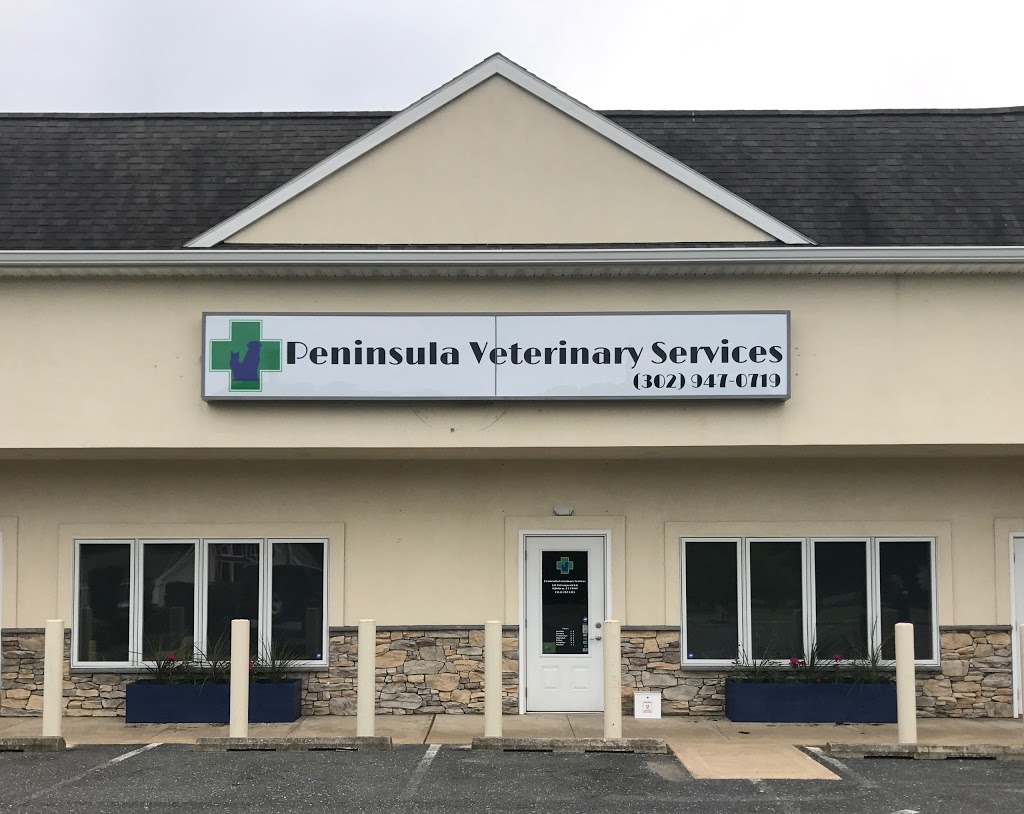 Peninsula Veterinary Services | 32038 Long Neck Rd, Millsboro, DE 19966, USA | Phone: (302) 947-0719