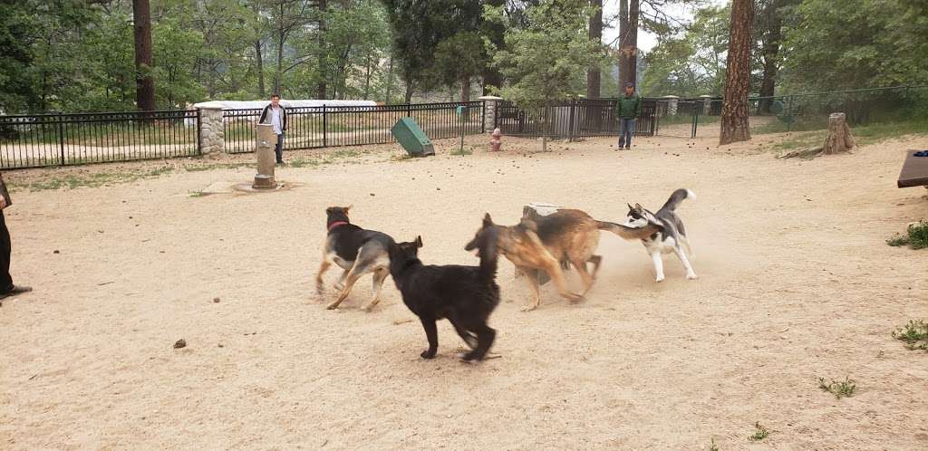 Lake Gregory Dog Park | 033720207, Crestline, CA 92325, USA