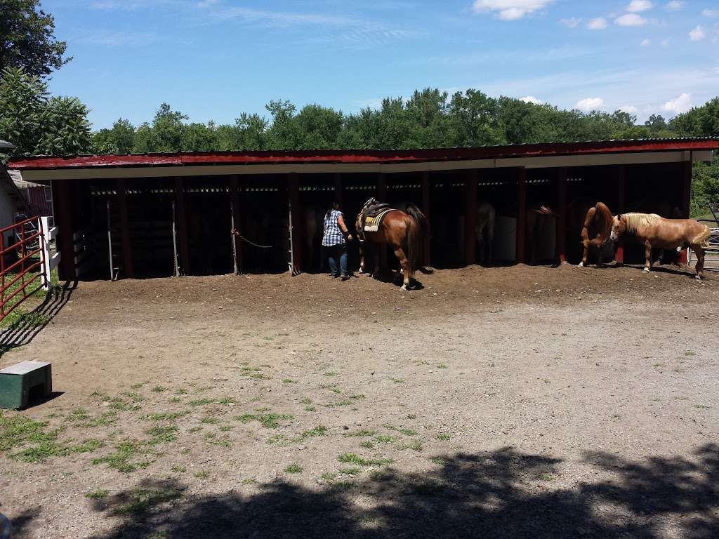 Top View Riding Ranch | 36 Hess Rd, Blairstown, NJ 07825, USA | Phone: (908) 362-1440