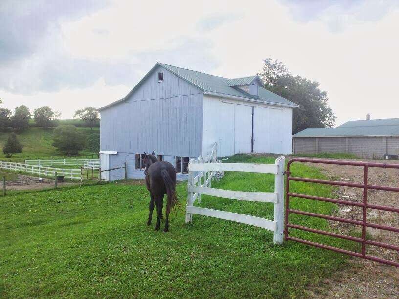 Quigleys Farm - Horse Boarding | 197 Waterway Rd, Oxford, PA 19363, USA | Phone: (484) 467-6266