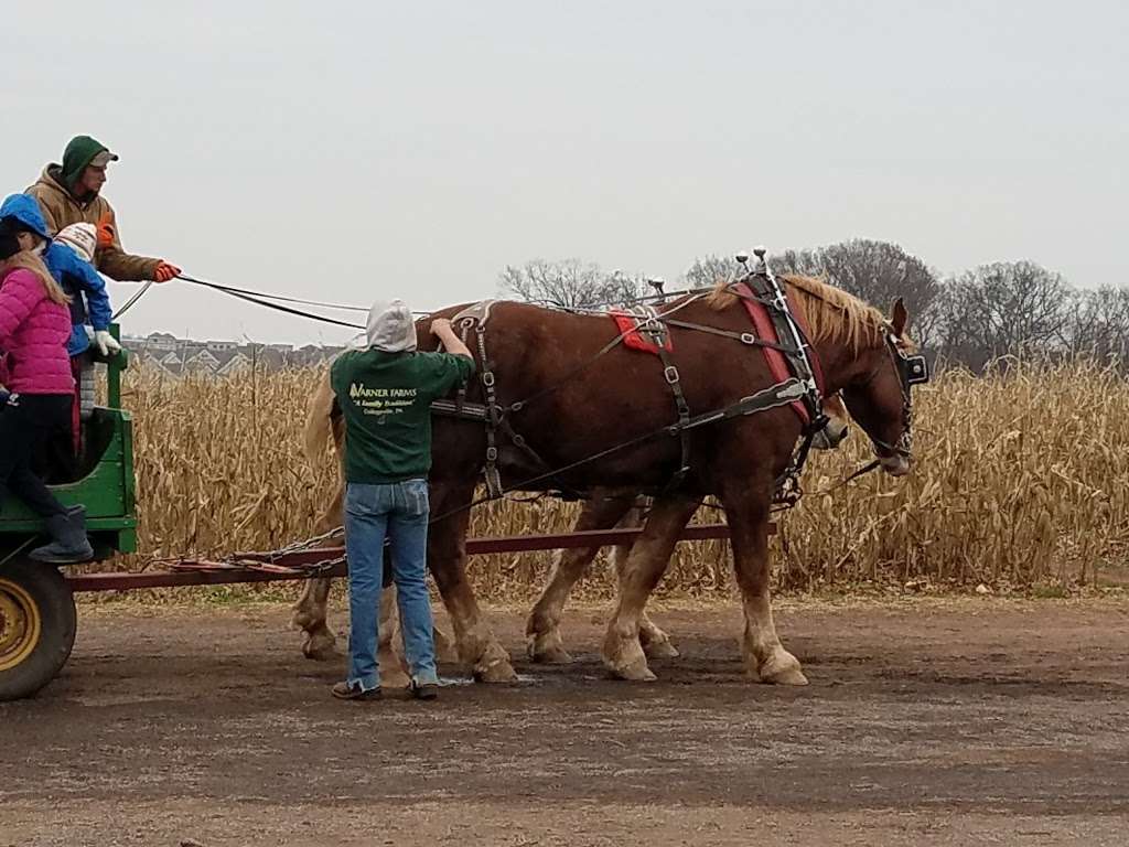 Varner Farms | 746 S Trappe Rd, Collegeville, PA 19426, USA | Phone: (610) 489-8878