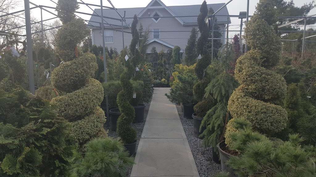 Umberto Garden Center | 1815 Arthur Kill Rd, Staten Island, NY 10312, USA | Phone: (718) 356-4564