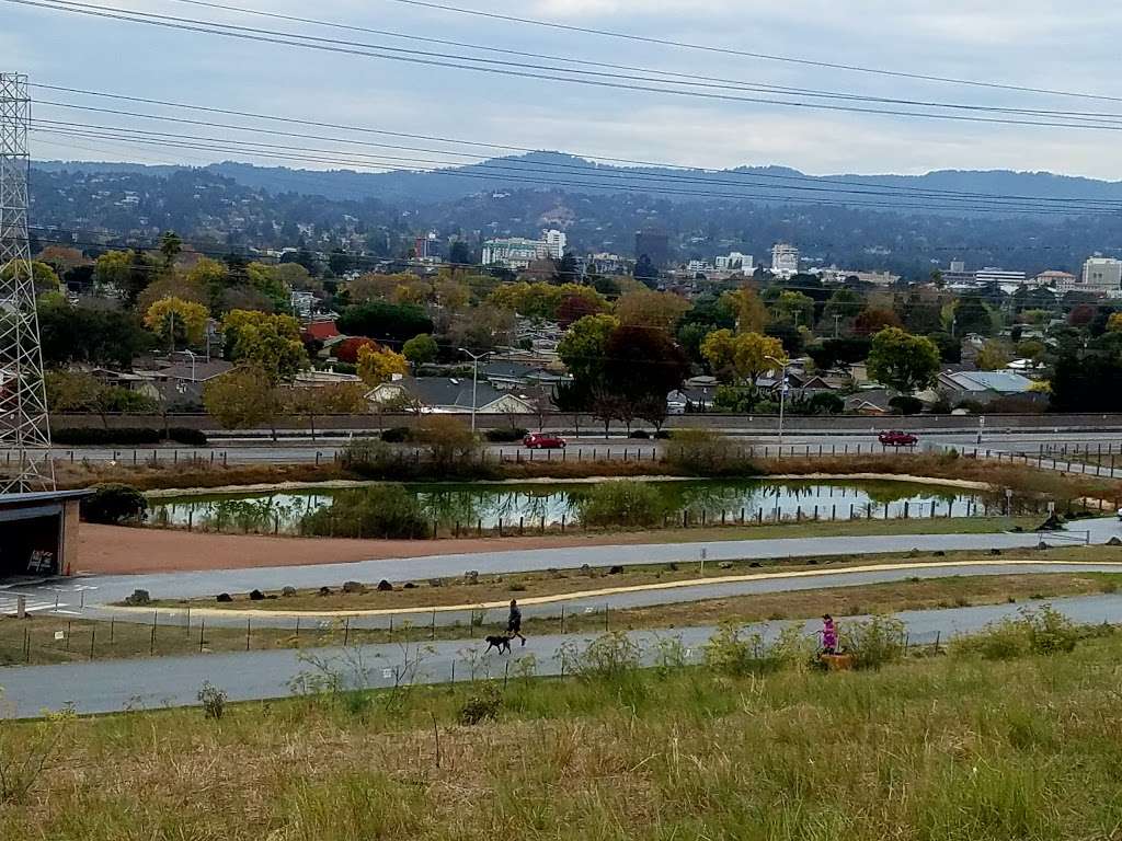 Seal Point Harbor Dog Park | 1775-1847 J Hart Clinton Dr, San Mateo, CA 94401, USA