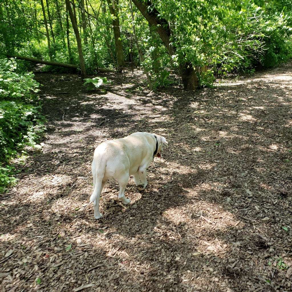 Warnimont Dog Park | 6100 S Lake Dr, Cudahy, WI 53110, USA | Phone: (414) 762-1550