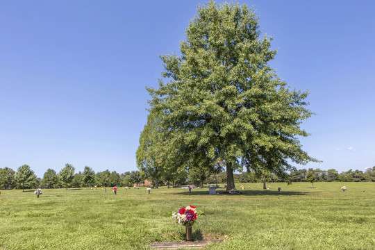 Limerick Garden of Memories | 44 Swamp Pike, Linfield, PA 19468, USA | Phone: (610) 495-6231