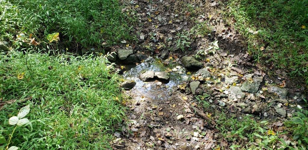 The Nature Conservancy, Chrome Serpentine Barrens Preserve | State Rd, Oxford, PA 19363, USA | Phone: (717) 232-6001