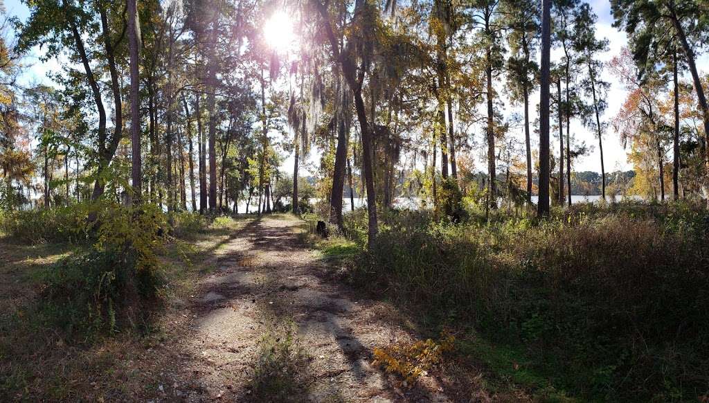 Shell Oil Road Hunter Camp | US Hwy Forest 274, Cleveland, TX 77328, USA