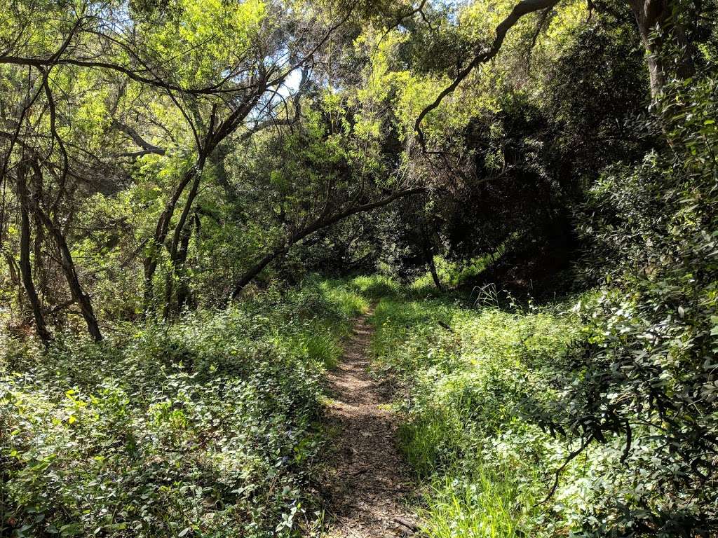 Murphy Ranch | Sullivan Fire Rd, Pacific Palisades, CA 90272, USA