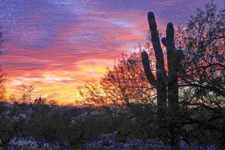 The Azure Gate Bed and Breakfast | 9351 E Morrill Way, Tucson, AZ 85749, USA | Phone: (520) 749-8157