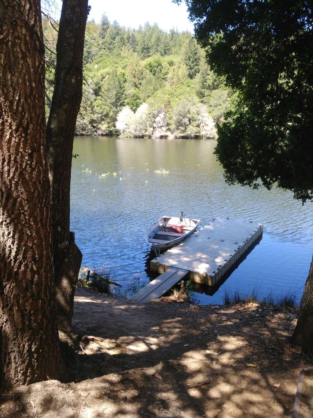 Loch Lomond Recreation Area | 100 Loch Lomond Way, Ben Lomond, CA 95005, USA | Phone: (831) 420-5320