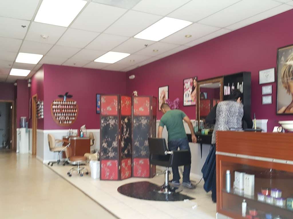 Saadia Nail & Hair Salon | 809 E Rollins Rd, Round Lake Beach, IL 60073, USA | Phone: (224) 541-4361