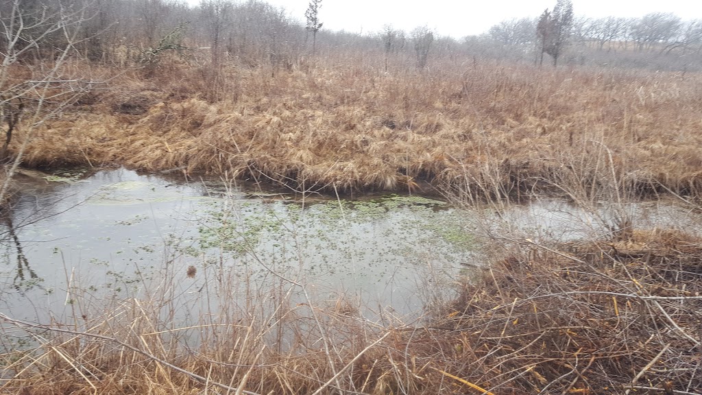 Pickerel Lake Fen State Natural Area | 101 S Webster St, Madison, WI 53703, USA | Phone: (608) 266-2621