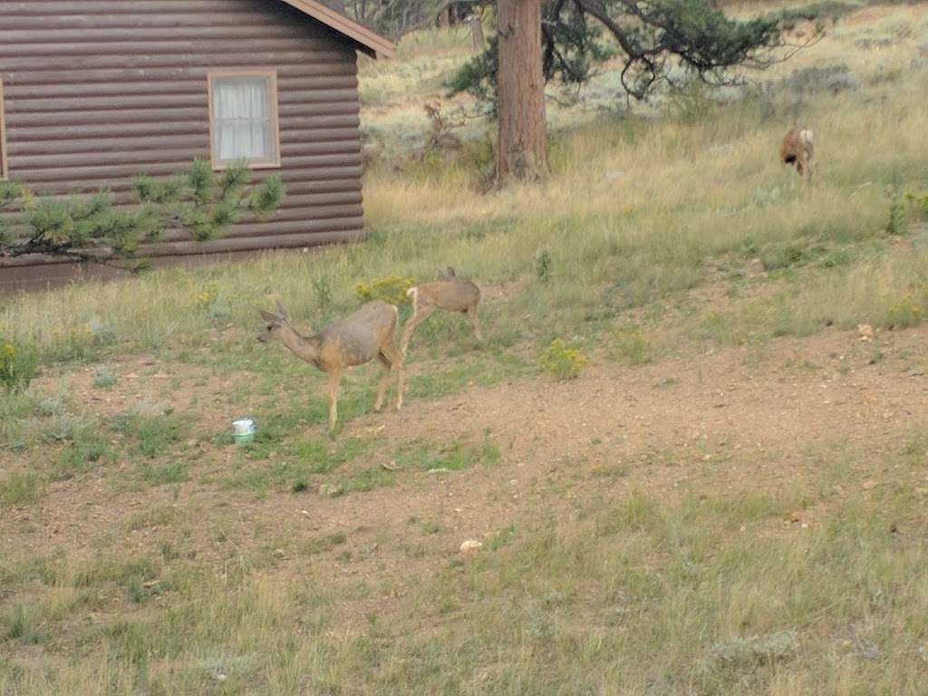 Everhart | Estes Park, CO 80517, USA