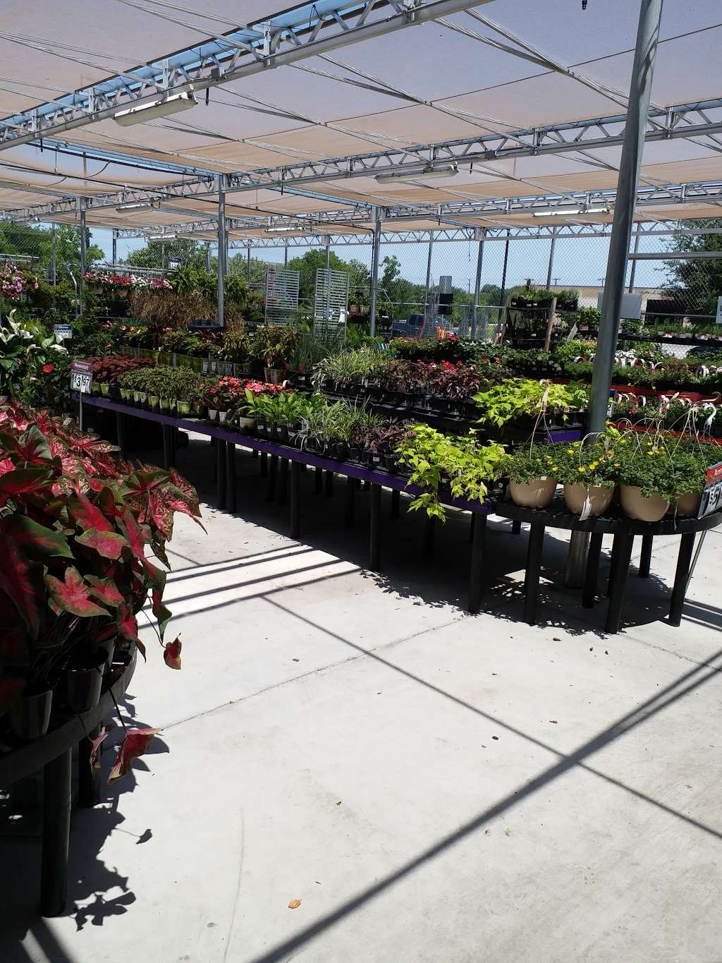 Walmart Garden Center | 5626 Walzem Rd, Windcrest, TX 78218, USA | Phone: (210) 507-0650